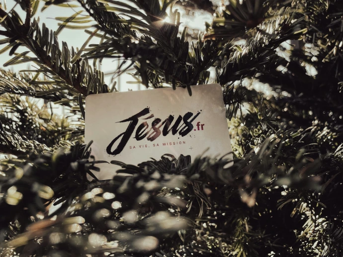 a sign that is hanging from a tree